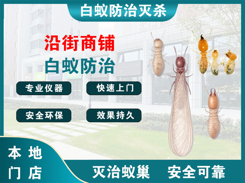 大丰沿街商铺白蚁防治