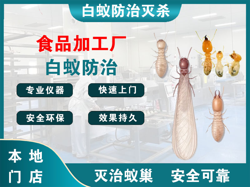大丰食品加工厂白蚁防治