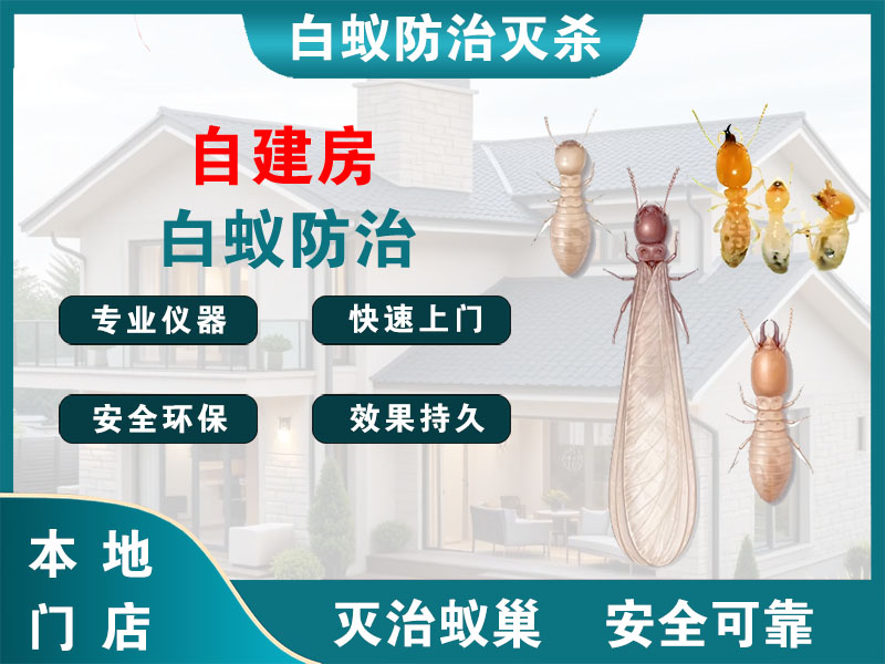 大丰自建房白蚁防治