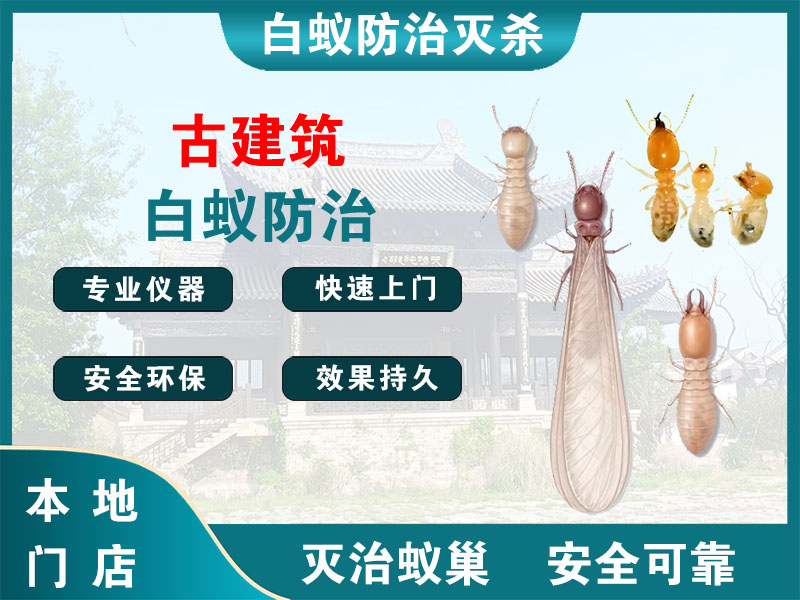 大丰古建筑白蚁防治