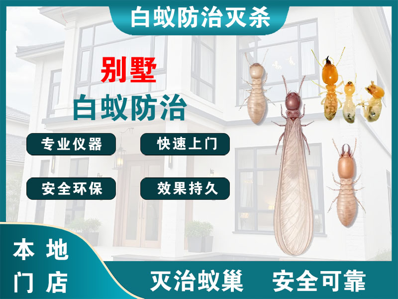 大丰别墅白蚁防治